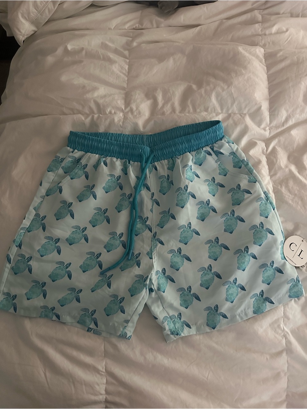 Caden Lane Aqua Turtle Print Athletic Swim Shorts
